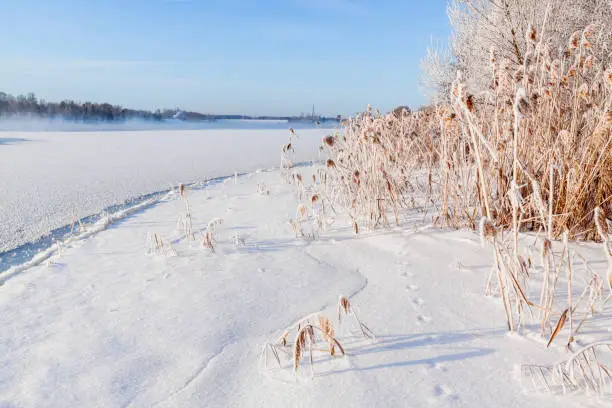 Winter landscape in the early morning overlooking the banks of the Volga River. Frosty fog obscures the banks of the river. The tops of the trees are covered with hoarfrost.