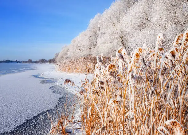 Winter landscape on a clear frosty day overlooking the banks of the Volga River. Frosty fog obscures the banks of the river.The tops of the trees are covered with hoarfrost.