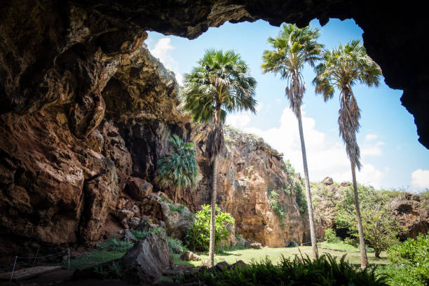 Exploring the cave