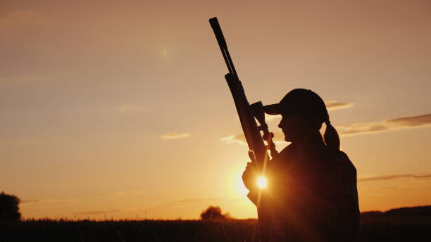 silhueta de uma mulher com uma arma nas mãos dela. caçador no campo ao pôr do sol - rifle hunting gun aiming - fotografias e filmes do acervo