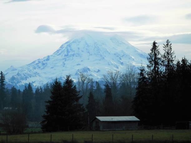 istock 1-11-19 Mt Ranier, Lakes, Eagles 1126977487