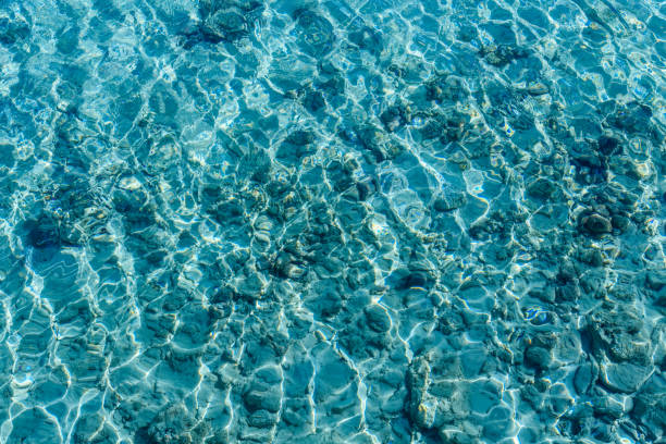 istock Background of Red sea water surface 1126978766