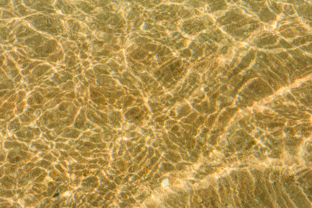 istock Background of the Red sea water surface and sandy bottom 1126978770