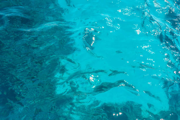 istock Background of Red sea water surface 1126978774