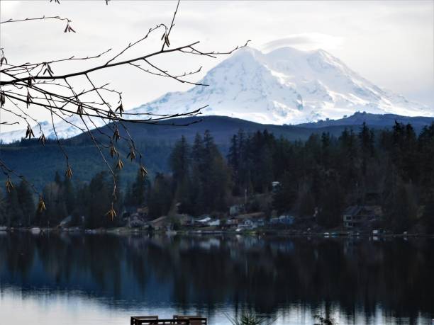 istock 1-11-19 Mt Ranier, Lakes, Eagles 1126979002