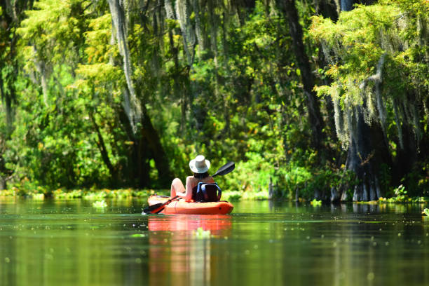 istock Girl kayaking away down calm river next to forest with Spanish moss overhead 1126979846