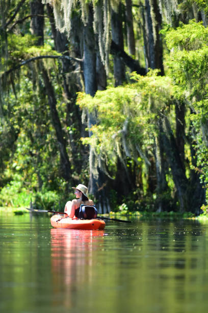 istock Girl kayaking away down calm river next to forest with Spanish moss hanging overhead 1126979886