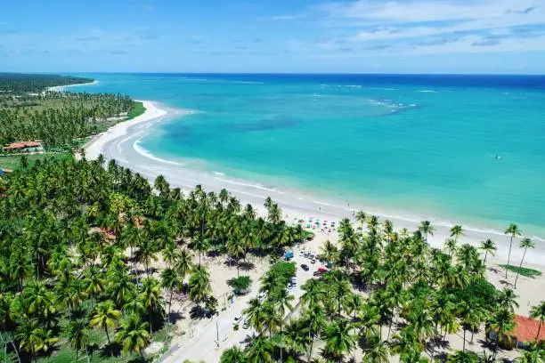 Fantastic landscape. Great beach scene. Paradise beach with crystal water. Brazillian Caribbean.