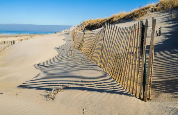 istock Meandering Sand Fence 1126991191