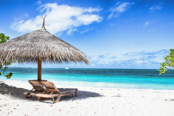istock Tropical nature landscape on the beach. 1126996765