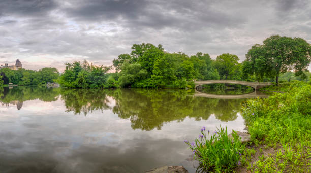 istock Central Park, New York City in spring 1127006626