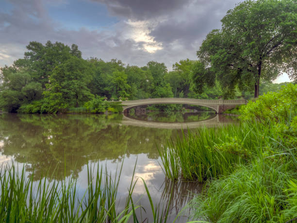 istock Central Park, New York City in spring 1127006689