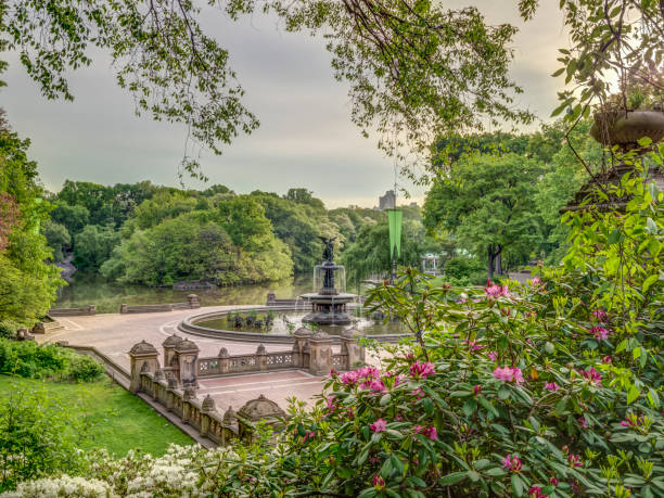 Central Park, Manhattan, New York City in spring,on foggy misty day