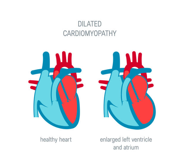 평면 스타일에서 심장 병 벡터 개념 - pulse trace human cardiovascular system heart shape heart disease stock illustrations