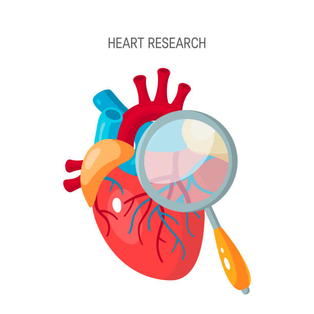 illustrations, cliparts, dessins animés et icônes de recherche de coeur ou d’un concept diagnostique dans le style plat - opération du coeur