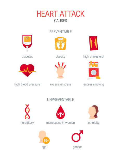 Heart attack causes in flat style, vector Heart attack causes. Simple icons for medical infographics, articles, textbooks, posters etc. Vector illustration in flat style colesterol stock illustrations