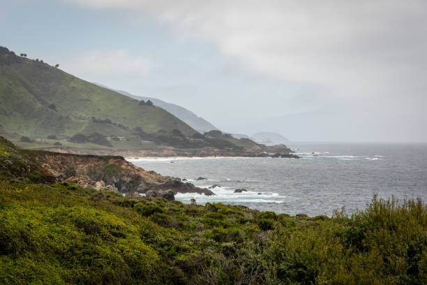 istock Big Sur State Park in Northern California 1127018329