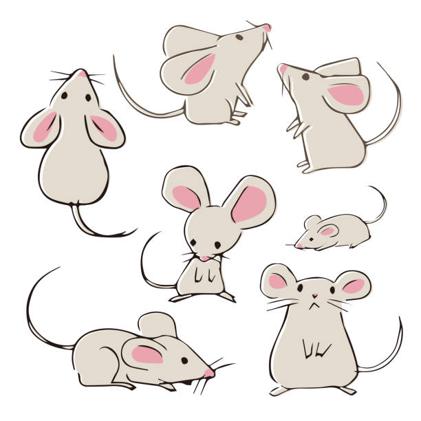 illustrations, cliparts, dessins animés et icônes de mignons mouses dessinés à la main avec des poses différentes - souris animal