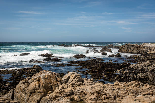 istock Pebble Beach in Monterey California 1127019044