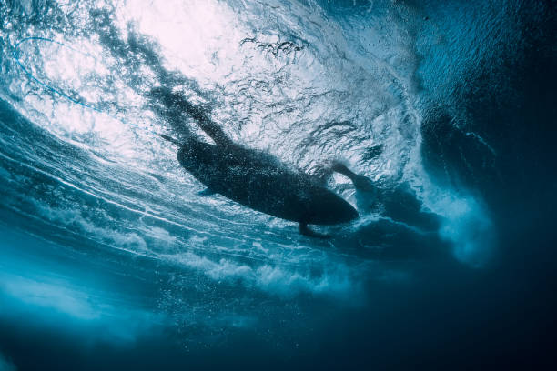istock Surfer with surfboard swim in blue ocean, underwater view 1127028654