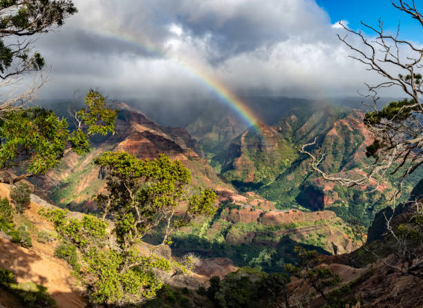 istock Rainbow and Clouds over Waimea Canyon 1127032361