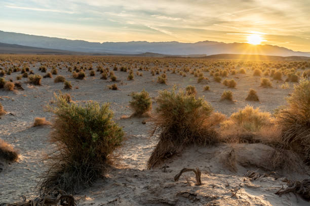milpa del diablo al amanecer - sand dune sand orange california fotografías e imágenes de stock