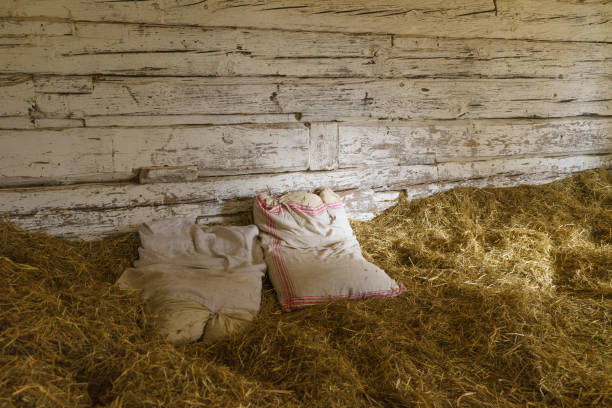a bed in the hay Two white pillows lie in an old barn in the hay and invite you to take a nap. bed of hay stock pictures, royalty-free photos & images