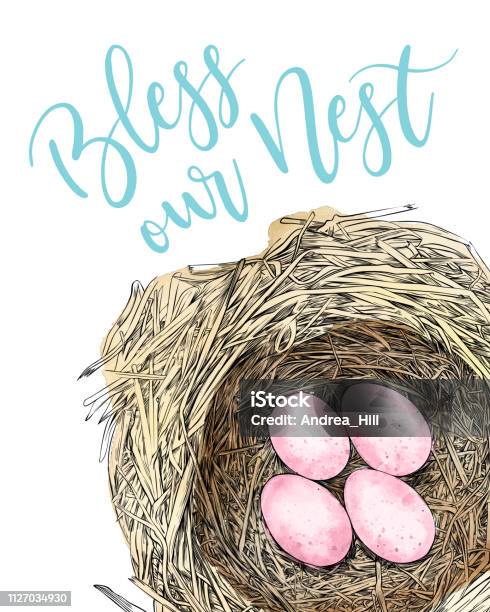 Bless Our Nest Bird Nest With Eggs Pen And Ink Vector Drawing Layout Stock Illustration - Download Image Now