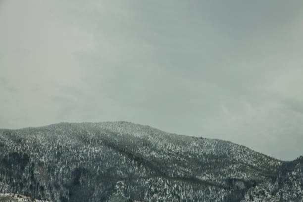 Woodland Mountain Covered in Snow