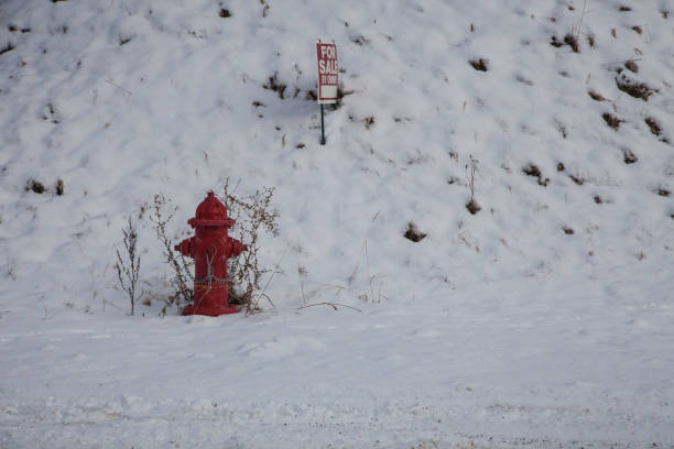 istock Fire Hydrant and For Sale Sign in the Snow 1127036466