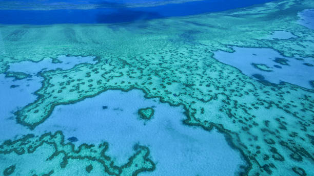 istock Aerial view of the Heart reef 1127041916