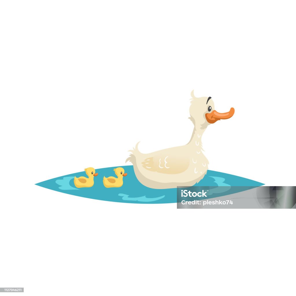 Cute Mother Duck Swim With Ducklings On Little Lake Farm Animals Cartoon  Style Vector Illustration For Child Education Stock Illustration - Download  Image Now - iStock