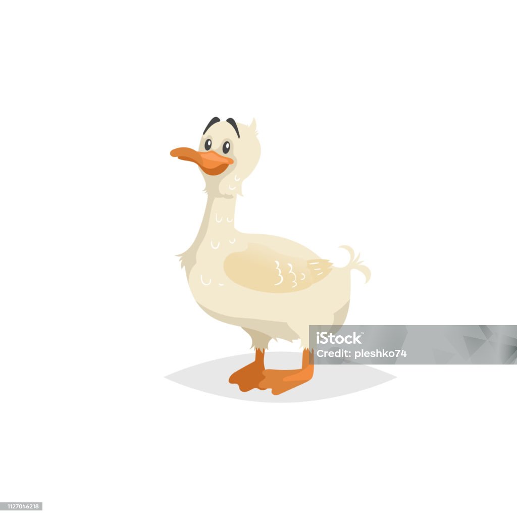 Ilustración de Pato Blanco Lindo Quedarse Personaje De Dibujos Animados Divertido Patito Ilustración De Animales De Granja Para Educación Infantil Imagen De Vectores Aislado Sobre Fondo Blanco y más Vectores Libres de Ilustración de Pato Blanco Lindo Quedarse Personaje De Dibujos Animados Divertido Patito Ilustración De Animales De Granja Para Educación Infantil Imagen De Vectores Aislado Sobre Fondo Blanco y más Vectores Libres de