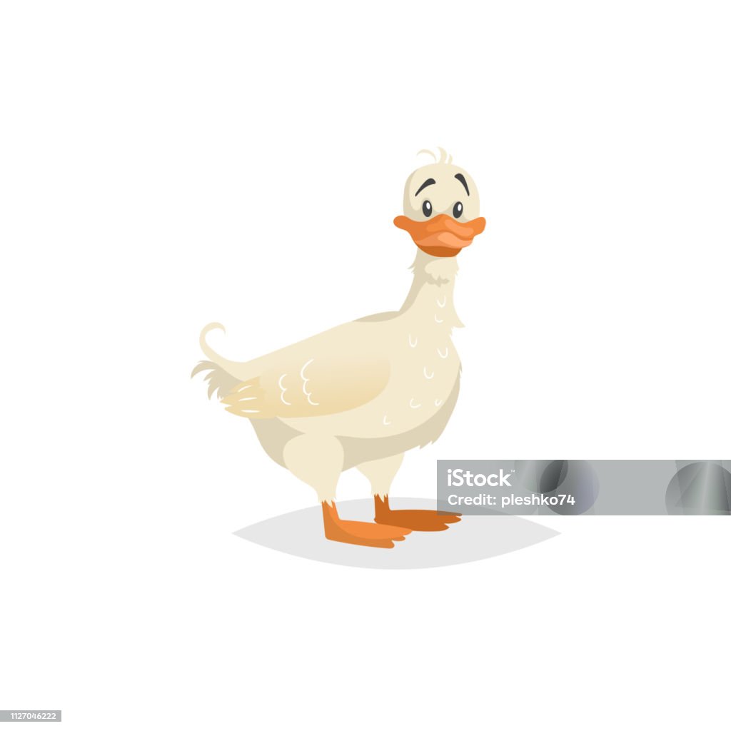 Ilustración de Pato Blanco Lindo Quedarse Personaje De Dibujos Animados Divertido Patito Ilustración De Animales De Granja Para Educación Infantil Imagen De Vectores Aislado Sobre Fondo Blanco y más Vectores Libres de Ilustración de Pato Blanco Lindo Quedarse Personaje De Dibujos Animados Divertido Patito Ilustración De Animales De Granja Para Educación Infantil Imagen De Vectores Aislado Sobre Fondo Blanco y más Vectores Libres de