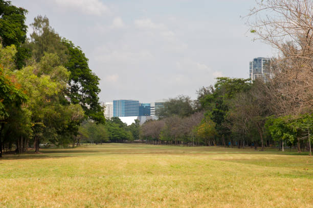 istock City park under with downtown in the background. 1127046555