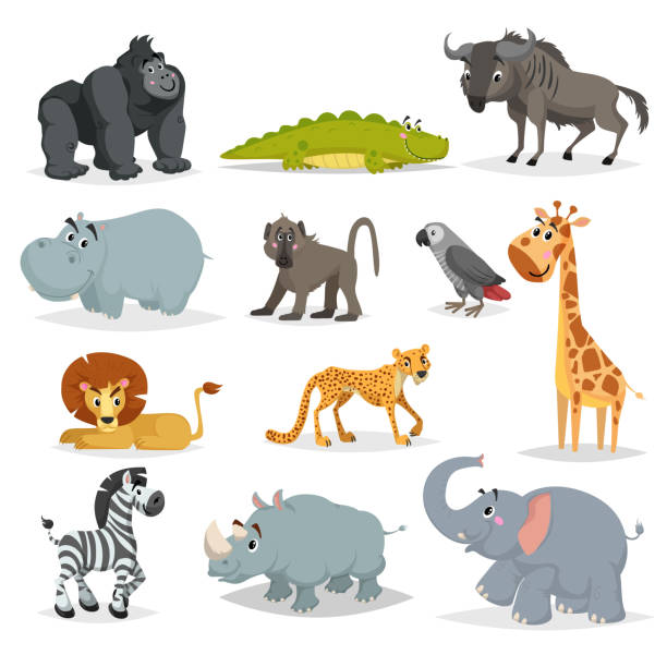 illustrations, cliparts, dessins animés et icônes de ensemble d’animaux d’afrique dessin animé mignon. gorille singe, crocodile, gnou, hippo, babouin, perroquet gris, girafe, lion, guépard, zèbre, rhino et éléphant. vecteur de jungle, de savane et de la faune. - cartoon giraffe young animal africa
