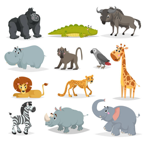 ilustrações, clipart, desenhos animados e ícones de conjunto de animais africano bonito dos desenhos animados. macaco gorila, crocodilo, gnus, hipopótamo, babuíno, papagaio cinzento, girafa, leão, leopardo, zebra, rinoceronte e elefante. vetor de floresta, savana e vida selvagem. - zebra animal isolated young animal