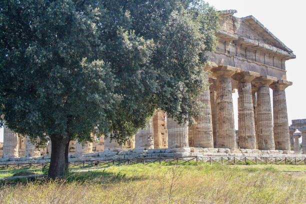 Temple of Neptune The temple of Neptune or Hera II, 
 in the archaelogical site of Paestum, ancient greek colony temple of neptune doric campania italy stock pictures, royalty-free photos & images