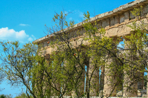 Temple of Neptune The temple of Neptune or Hera II, 
 in the archaelogical site of Paestum, ancient greek colony temple of neptune doric campania italy stock pictures, royalty-free photos & images