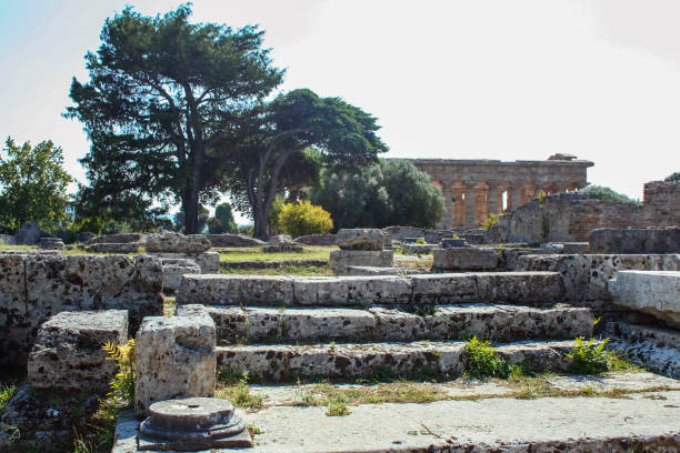 Temple of Neptune The temple of Neptune or Hera II, 
 in the archaelogical site of Paestum, ancient greek colony temple of neptune doric campania italy stock pictures, royalty-free photos & images