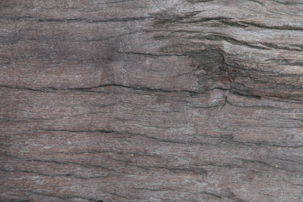 istock closeup of wooden texture as background 1127051737