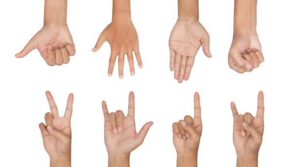 istock Set of different hand signs isolated on a white background 1127051971