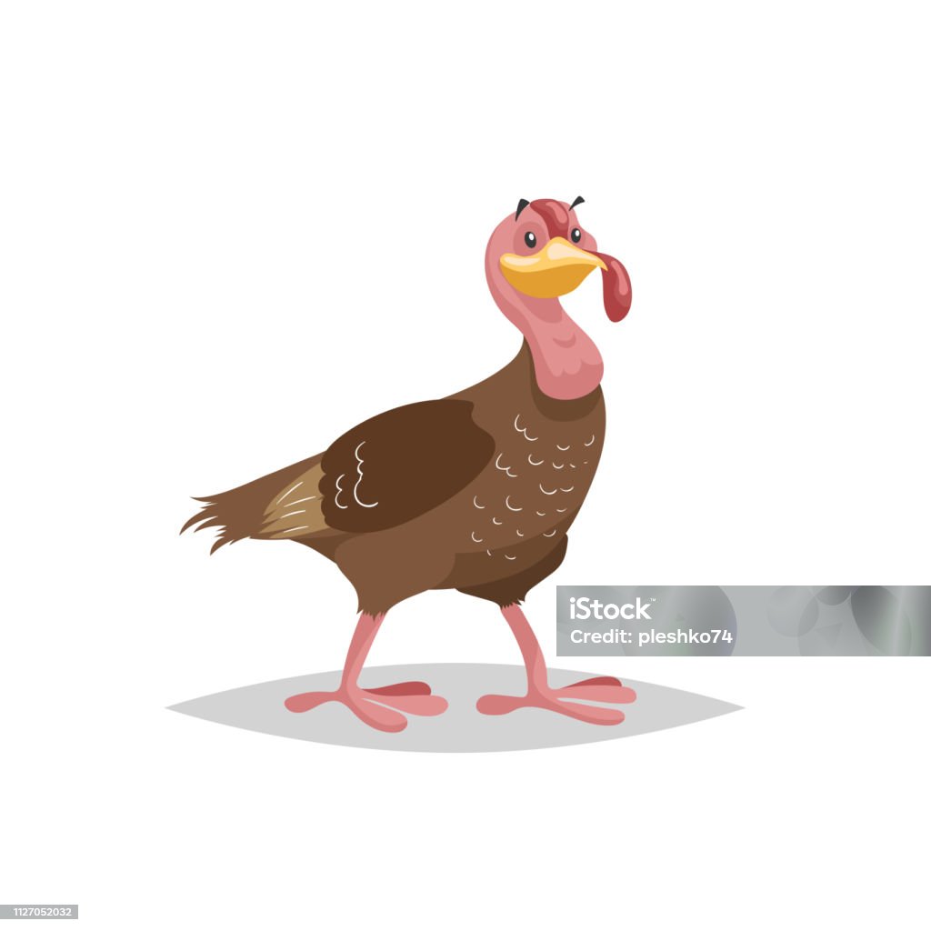 Ilustración de Pavo Macho Hembra Lindo Posando Ilustración De Estilo De Dibujos Animados De Animal De Granja Gran Pájaro Doméstico Imagen De Vectores Aislado Sobre Fondo Blanco y más Vectores Libres de Ilustración de Pavo Macho Hembra Lindo Posando Ilustración De Estilo De Dibujos Animados De Animal De Granja Gran Pájaro Doméstico Imagen De Vectores Aislado Sobre Fondo Blanco y más Vectores Libres de