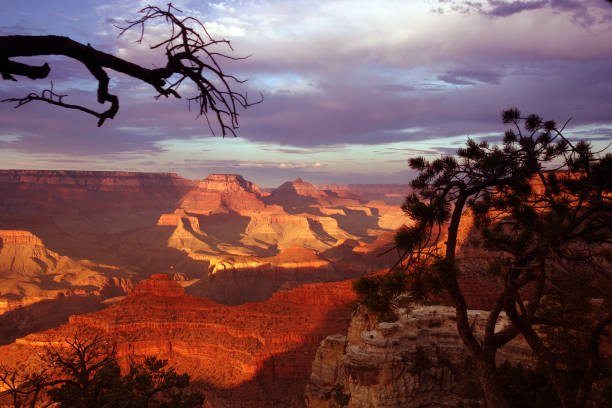 istock Grand Canyon, Arizona 1127056617