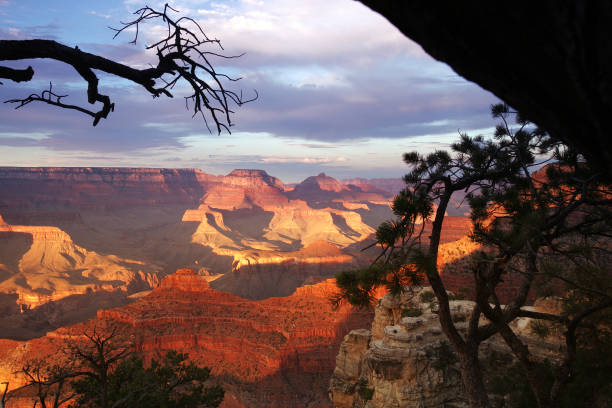 istock Grand Canyon, Arizona 1127056626
