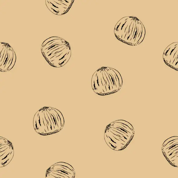 Vector illustration of Seamless pattern from hazelnuts.