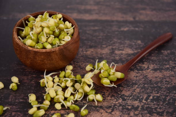 istock Mung bean sprouts in wooden bowl on rustic background 1127061410