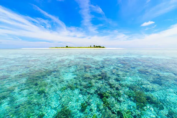Coral reef tropical caribbean sea, turquoise blue water. Indonesia Sulawesi Wakatobi National Park. Top travel tourist destination, best diving snorkeling.