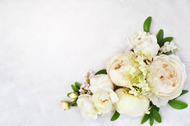 istock Summer blossoming delicate rose on blooming flowers 1127072577