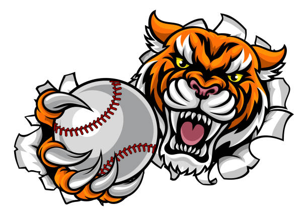 тигр холдинг бейсбол мяч нарушение фон - characters sport animal baseballs stock illustrations